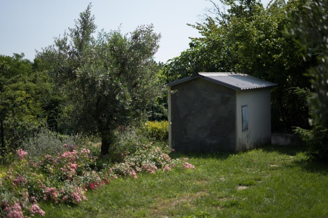 Villa Silvana - Apt Giulia & Michela With Terrace & Parking Perugia Esterno foto